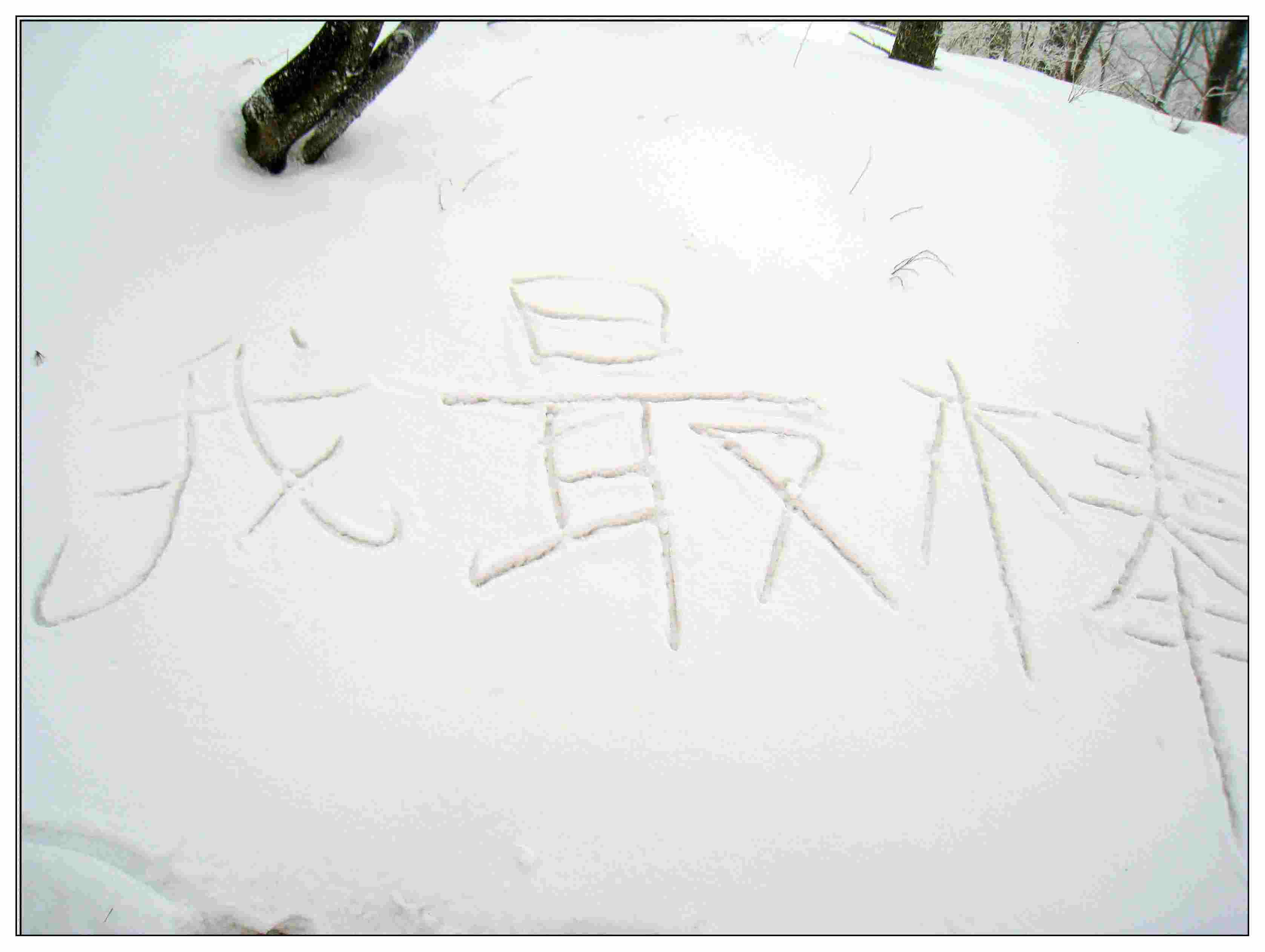 照片 064.jpg