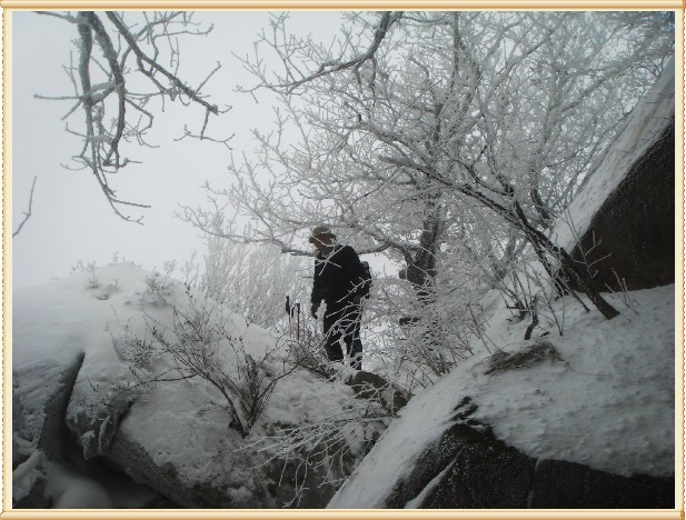 雪行昆嵛 (77).JPG