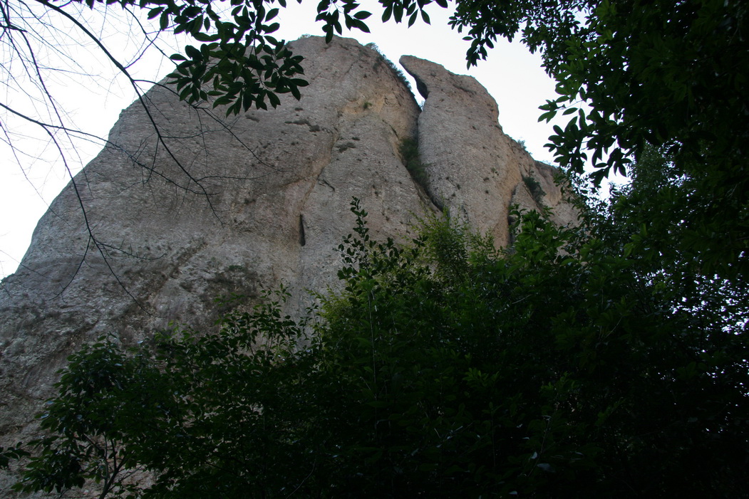 IMG_0282_缩小大小.jpg