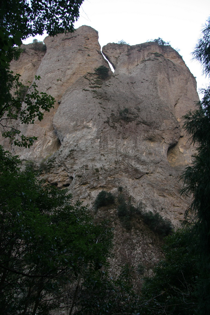 IMG_0286_缩小大小.jpg