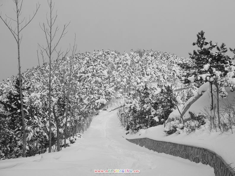 调整大小 DSC00123.jpg