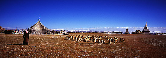 32099_18.jpg