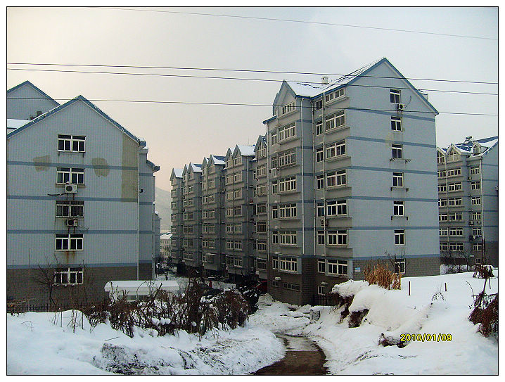 S7303819.jpg