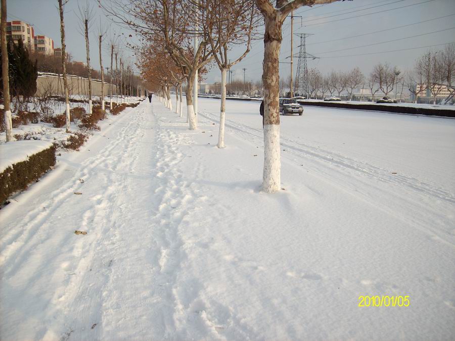 2010第一场雪.jpg