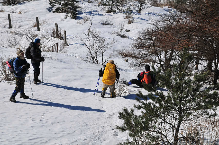 10012408334ab26f769517b276.jpg