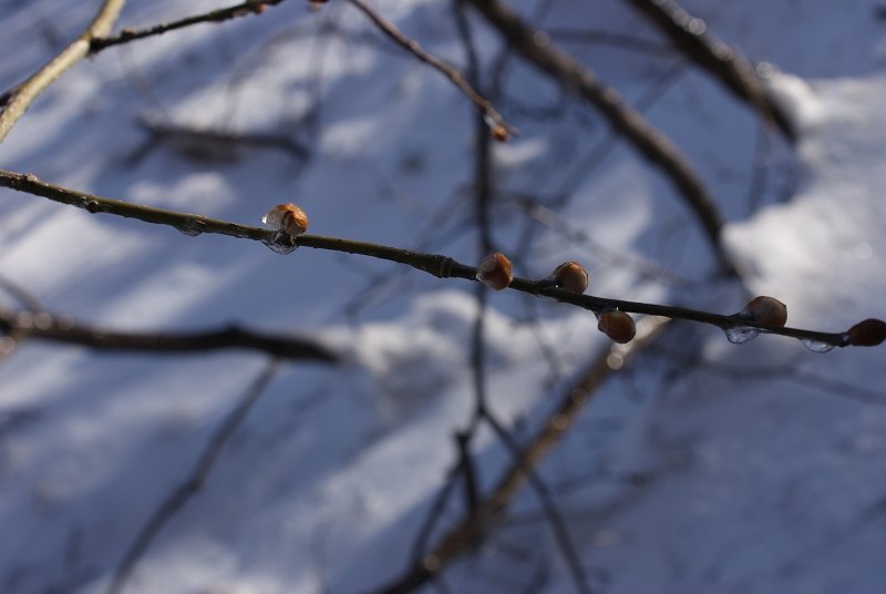 DSC01924.JPG