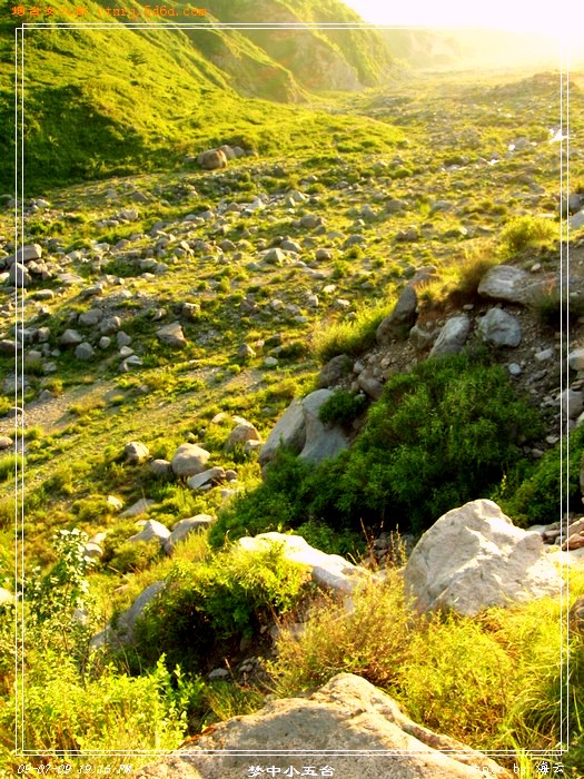 DSCN1613.jpg