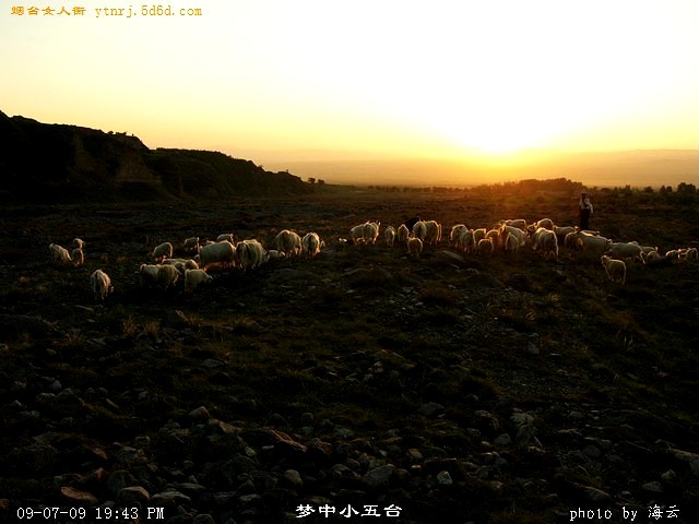 DSCN1687.jpg