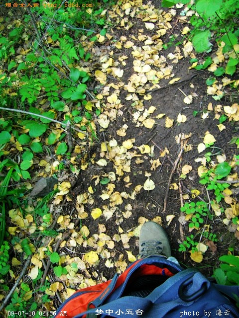 DSCN1797.jpg