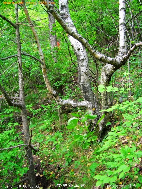 DSCN1798.jpg