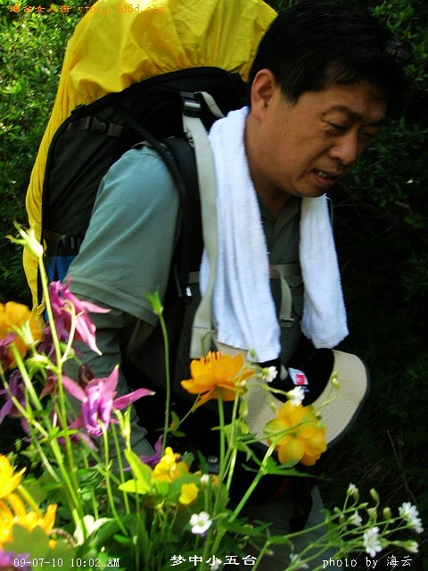 鲜花衬一下~