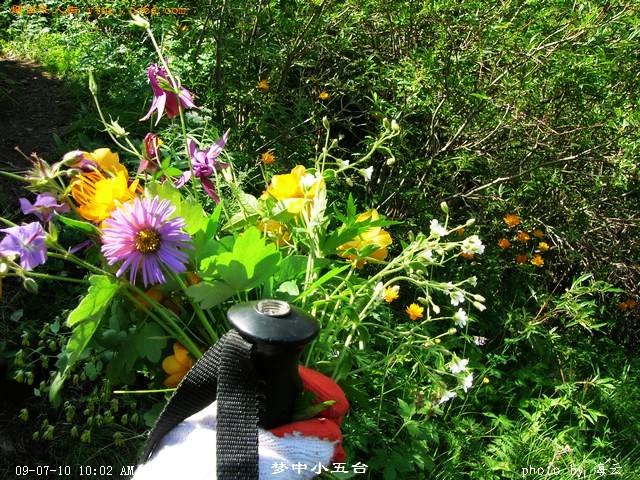DSCN1825.jpg