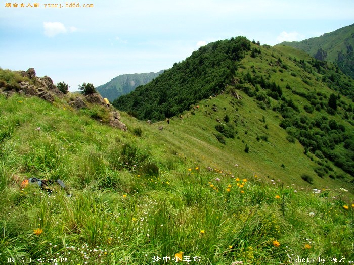 DSC06223.jpg