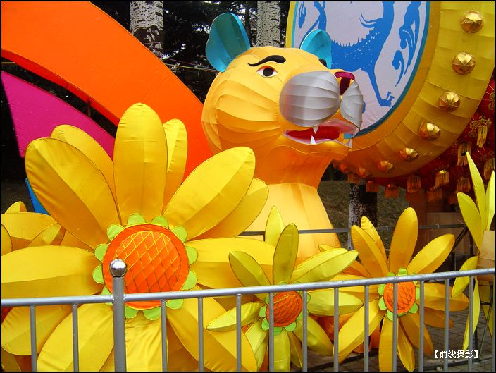DSC01399-1.jpg