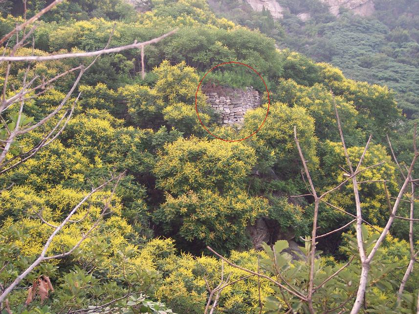 磁山庵.jpg