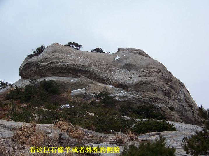 115_6941_缩小大小.JPG