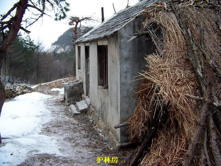 115_6957_缩小大小.JPG