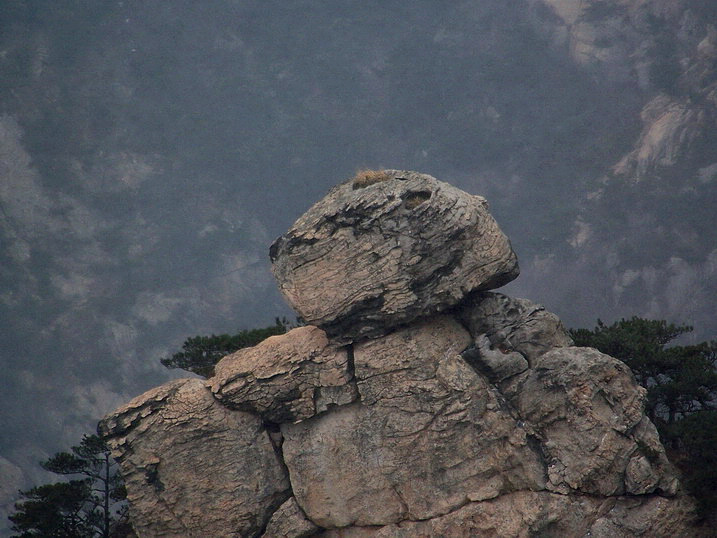 115_6970_缩小大小.JPG