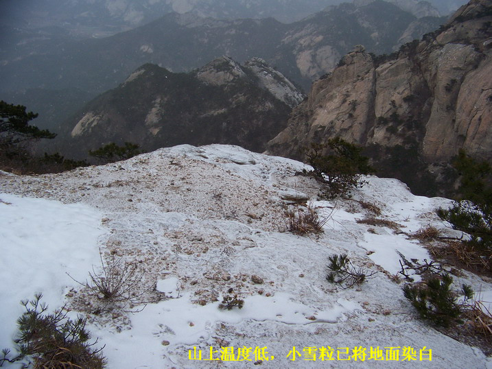 115_6971_缩小大小.JPG