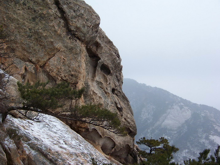 115_6976_缩小大小.JPG