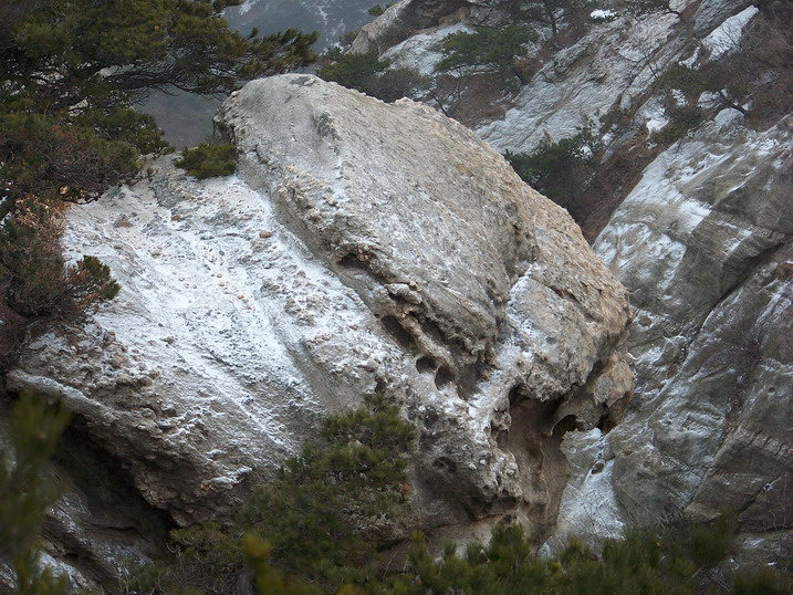 115_6981_缩小大小.JPG