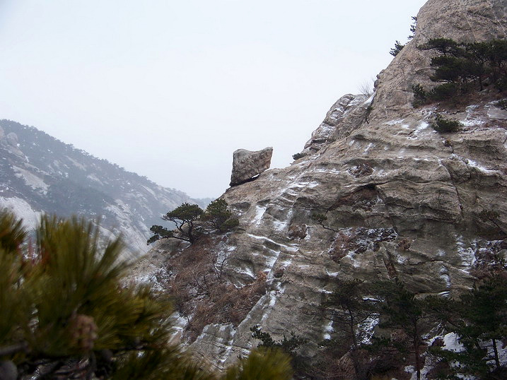 115_6982_缩小大小.JPG