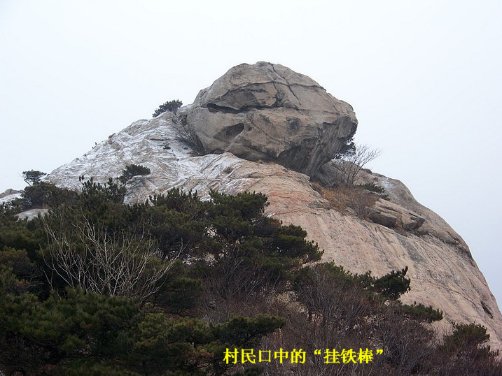 115_6994_缩小大小.JPG