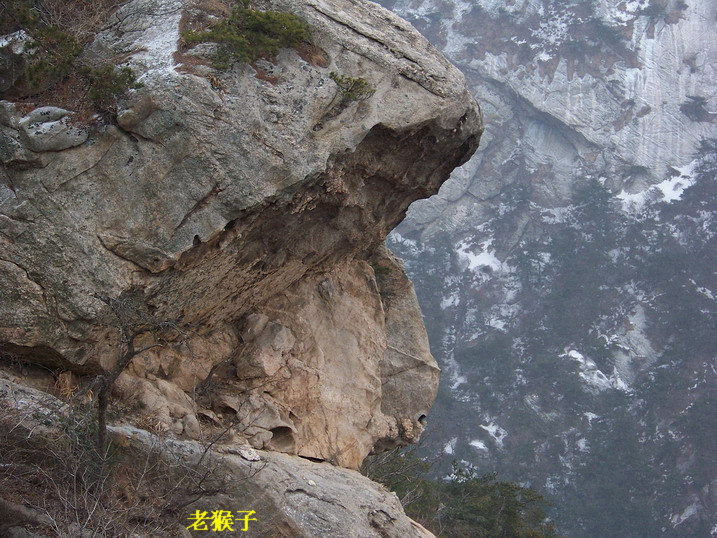 115_6992_缩小大小.JPG