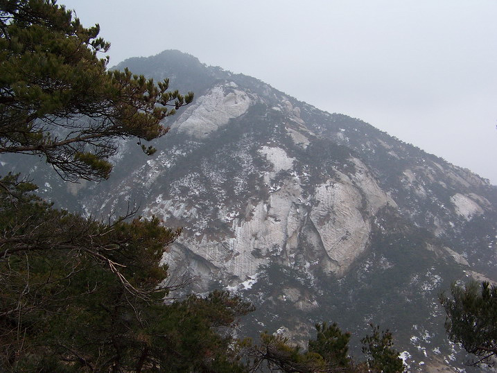 115_7001_缩小大小.JPG