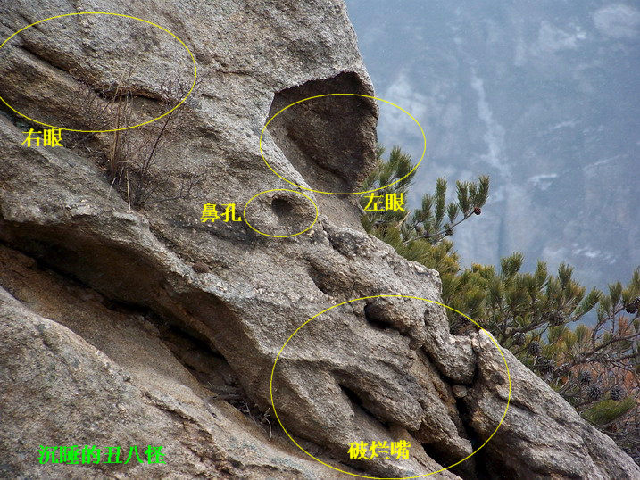 115_7010_缩小大小.JPG