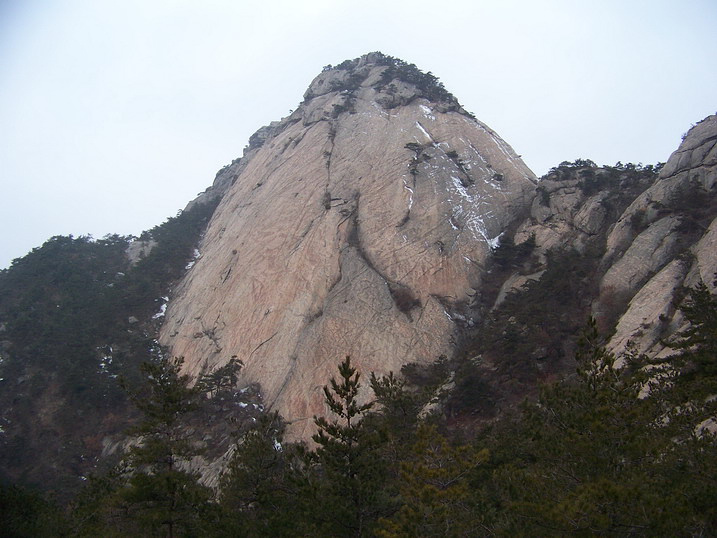 115_7007_缩小大小.JPG