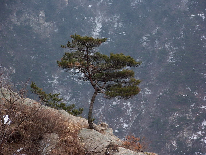 115_7006_缩小大小.JPG