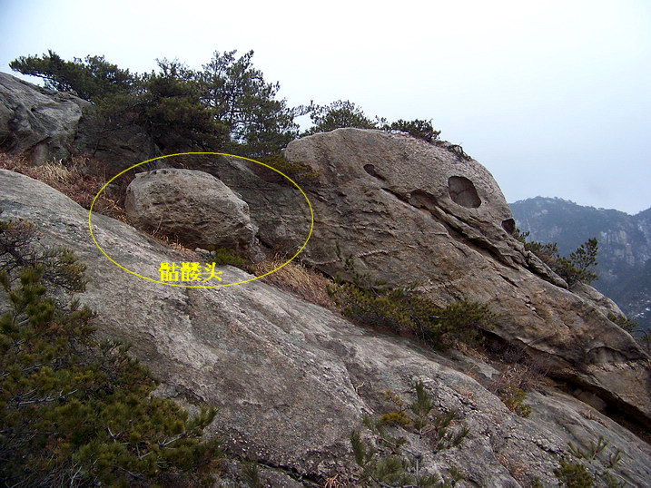 115_7008_缩小大小.JPG