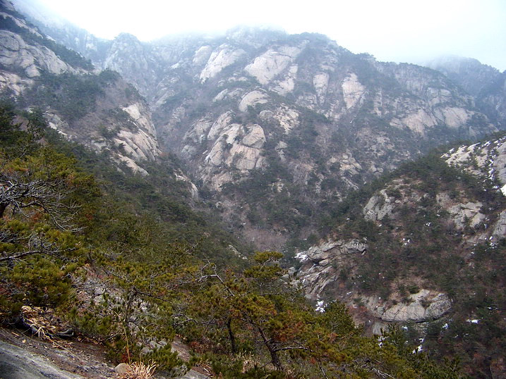 115_7015_缩小大小.JPG