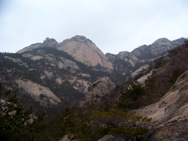 115_7016_缩小大小.JPG