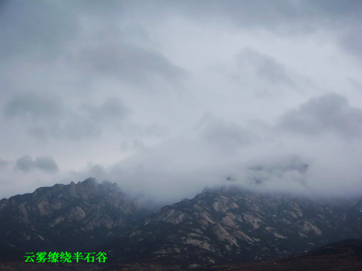 115_7020_缩小大小.JPG