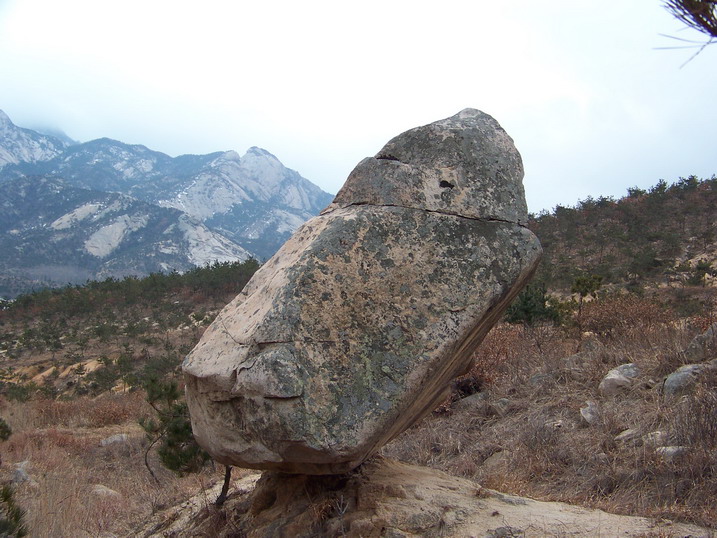 115_7056_缩小大小.JPG
