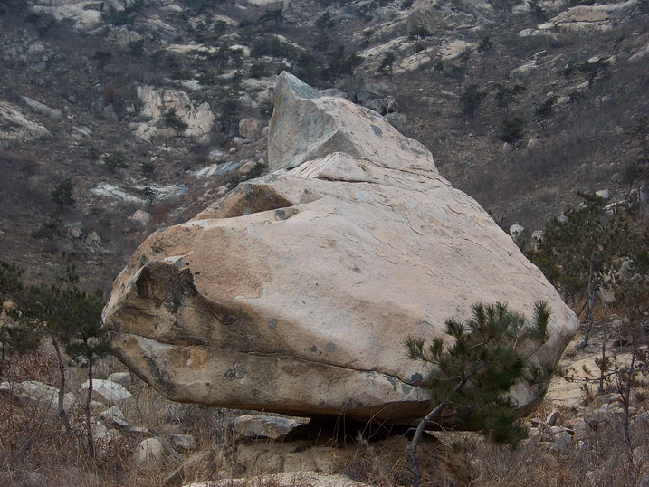 115_7058_缩小大小.JPG