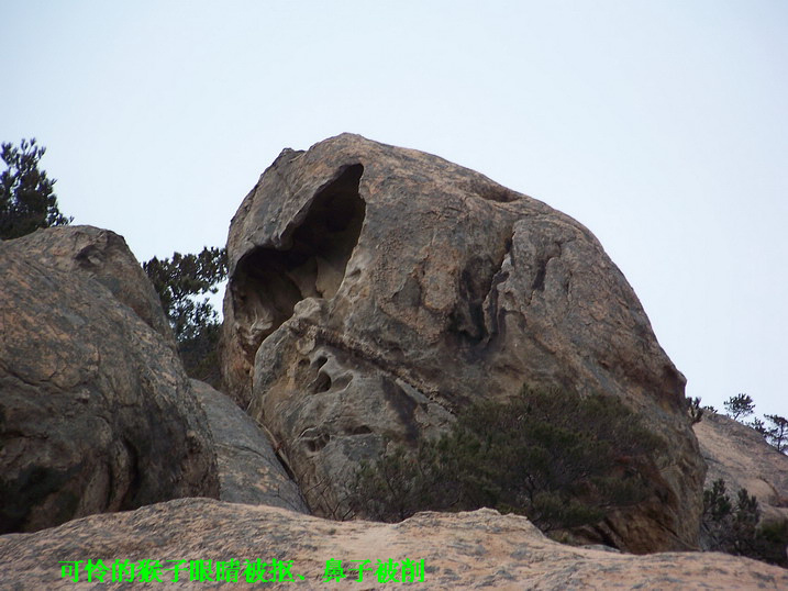 115_7068_缩小大小.JPG