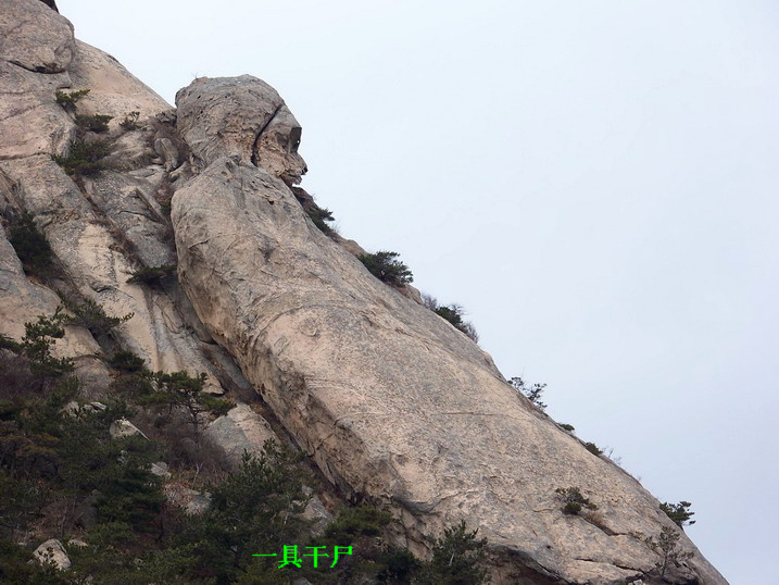 115_7072_缩小大小.JPG