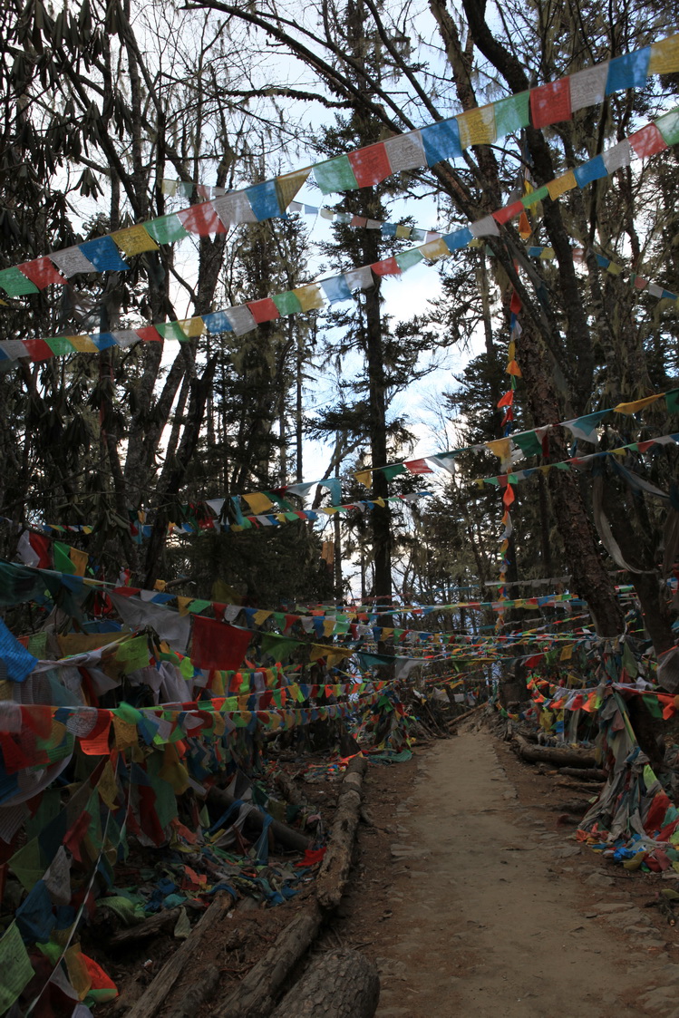 IMG_2303_缩小大小.JPG