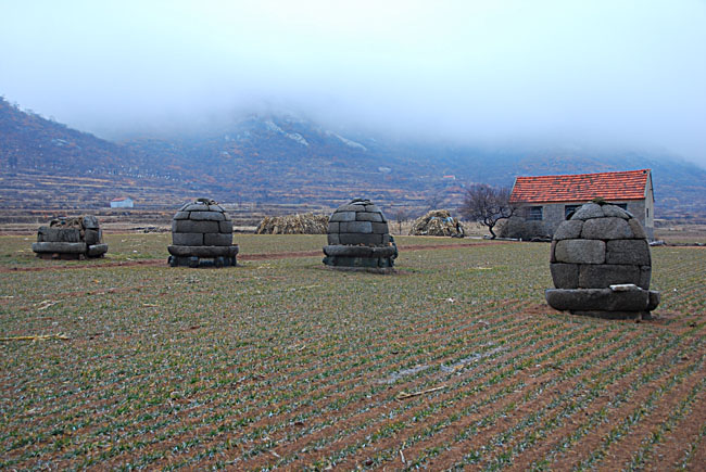 DSC_0327.JPG