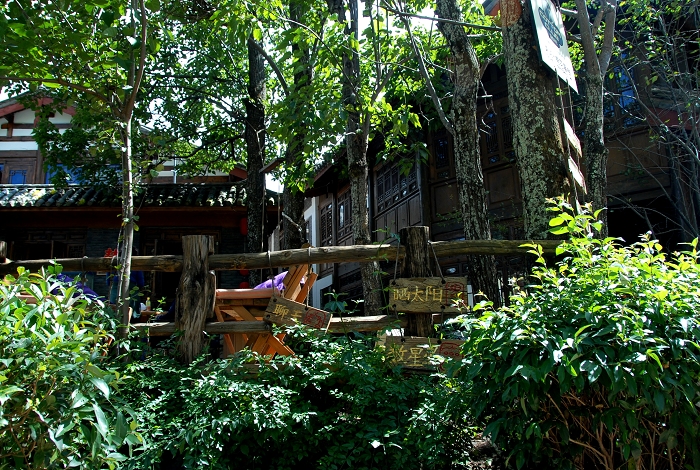DSC_0316a.jpg