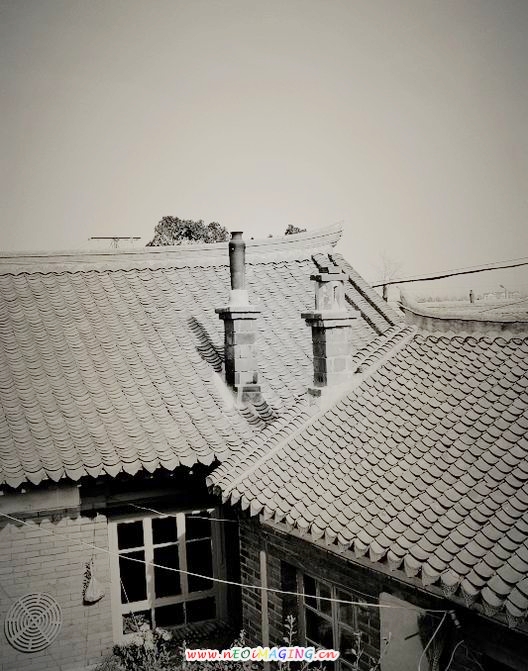 DSC00788.jpg