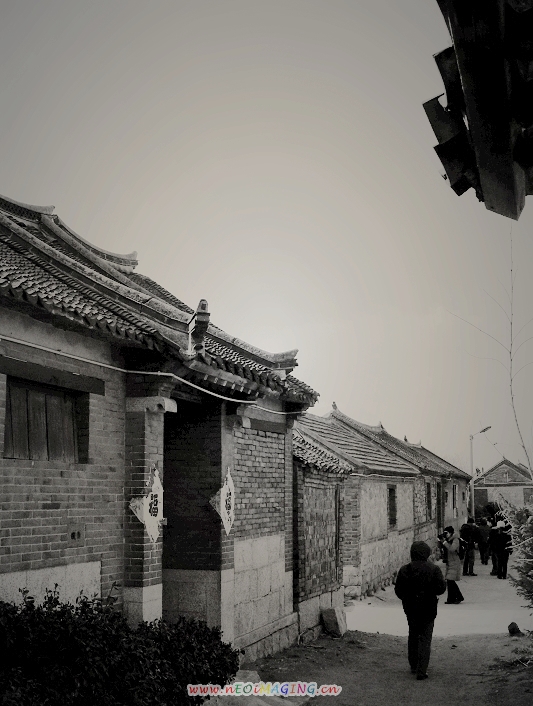 DSC00844.jpg