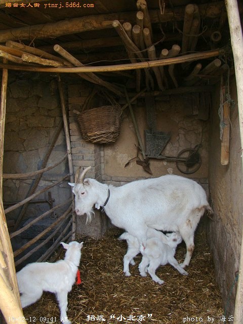 DSC09923.jpg