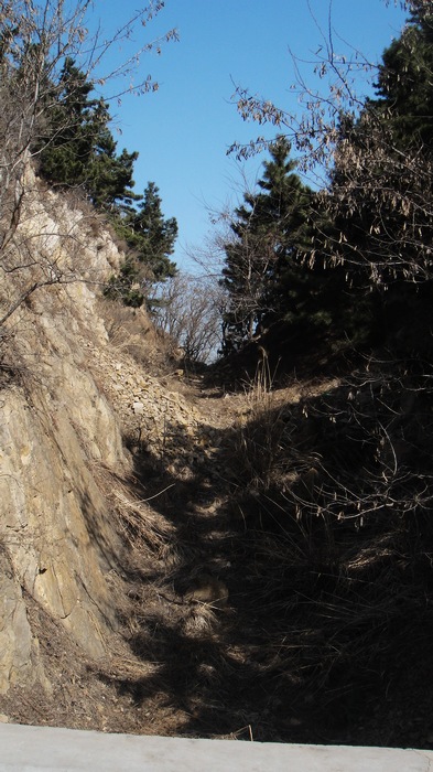 旋转 DSC00891.jpg