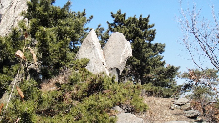 DSC00910.jpg