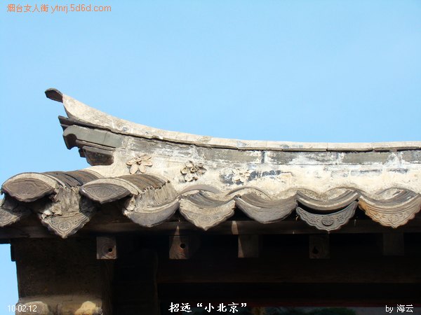 DSC00101.jpg