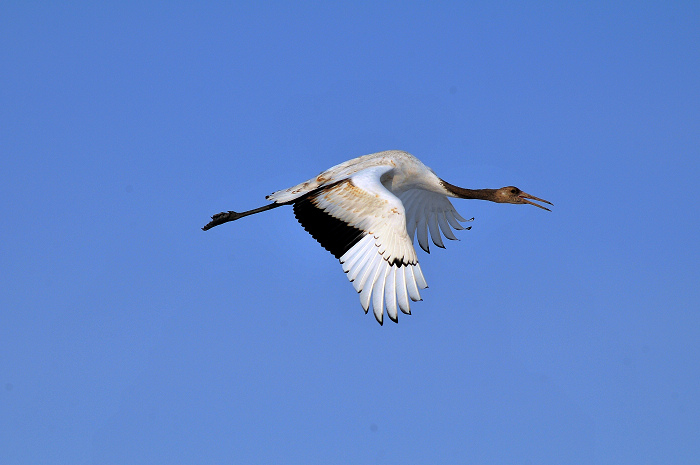 DSC_2573.jpg